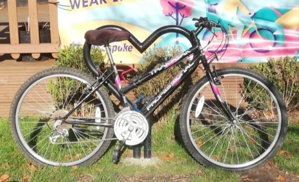 Trakatak  Blue & Pink  'Mountain Bike'