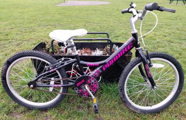 Probike 'Diva'